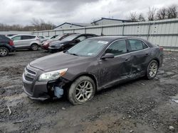 Chevrolet Malibu 2LT Vehiculos salvage en venta: 2013 Chevrolet Malibu 2LT