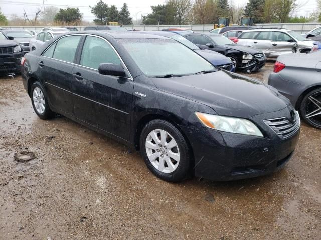 2009 Toyota Camry Hybrid