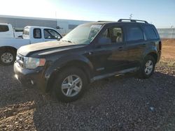 Ford salvage cars for sale: 2008 Ford Escape HEV