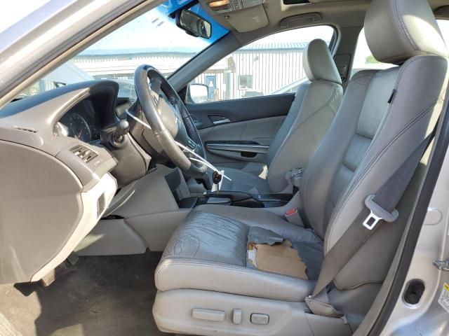 2008 Honda Accord EXL