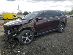 Salvage cars for sale from Copart Windsor, NJ: 2016 KIA Sorento EX