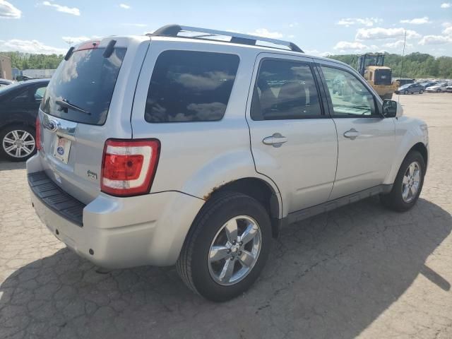 2011 Ford Escape Limited