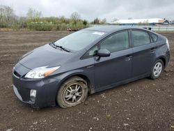 Salvage cars for sale at Columbia Station, OH auction: 2011 Toyota Prius