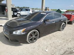 Salvage cars for sale at West Palm Beach, FL auction: 2014 Nissan Maxima S