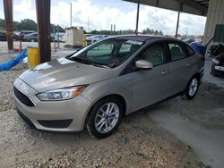 Salvage cars for sale at Homestead, FL auction: 2015 Ford Focus SE