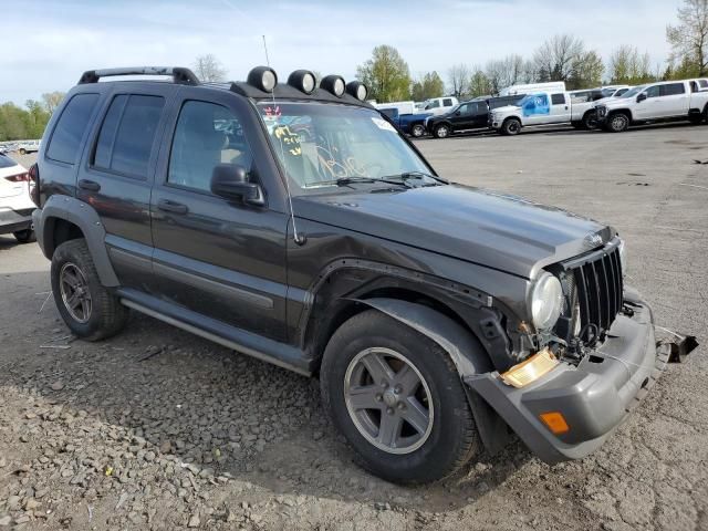 2005 Jeep Liberty Renegade