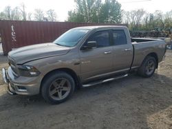 Dodge RAM 1500 salvage cars for sale: 2010 Dodge RAM 1500