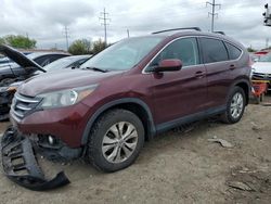 Salvage cars for sale from Copart Columbus, OH: 2013 Honda CR-V EX