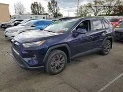 Salvage cars for sale at Moraine, OH auction: 2022 Toyota Rav4 XLE Premium