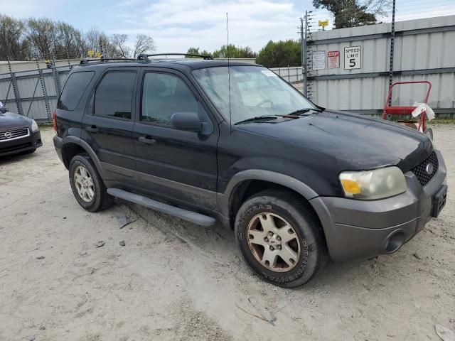 2006 Ford Escape XLT