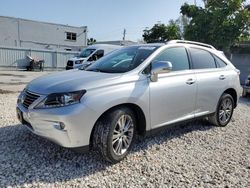 Vehiculos salvage en venta de Copart Opa Locka, FL: 2014 Lexus RX 350