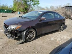 Salvage cars for sale from Copart Baltimore, MD: 2010 Scion TC