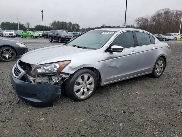 2009 Honda Accord EXL