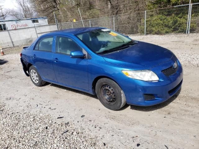 2010 Toyota Corolla Base