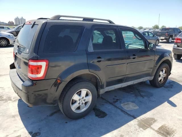 2009 Ford Escape XLT