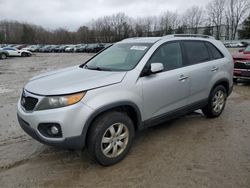 2011 KIA Sorento Base en venta en North Billerica, MA