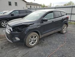 Salvage cars for sale at York Haven, PA auction: 2019 Ford Escape SE