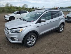 Salvage cars for sale at Columbia Station, OH auction: 2019 Ford Escape SEL