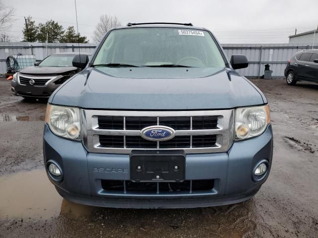 2011 Ford Escape XLT