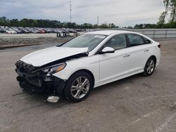 Salvage cars for sale at Dunn, NC auction: 2019 Hyundai Sonata Limited