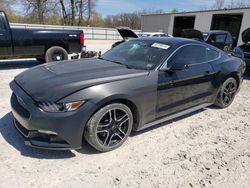 2016 Ford Mustang for sale in Rogersville, MO