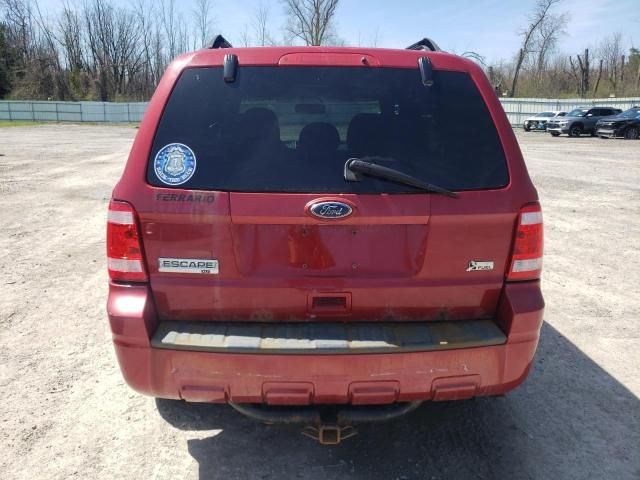 2010 Ford Escape XLT