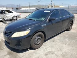 Toyota salvage cars for sale: 2010 Toyota Camry Base