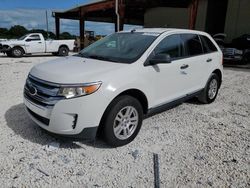 Salvage cars for sale at Homestead, FL auction: 2011 Ford Edge SE