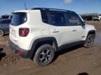 2019 Jeep Renegade Trailhawk