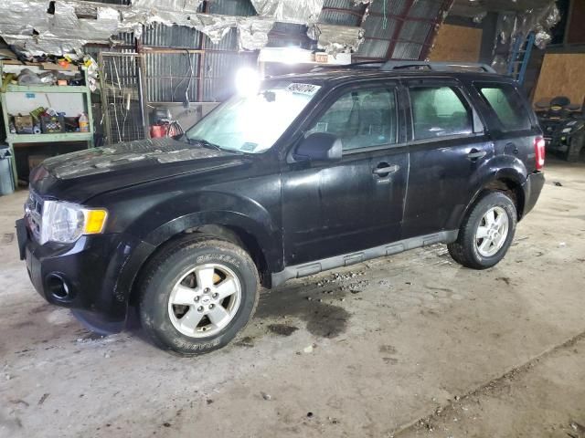 2009 Ford Escape XLT