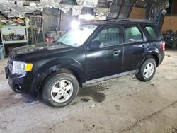 Salvage cars for sale at Albany, NY auction: 2009 Ford Escape XLT