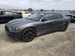 Salvage cars for sale at Antelope, CA auction: 2014 Dodge Charger SE
