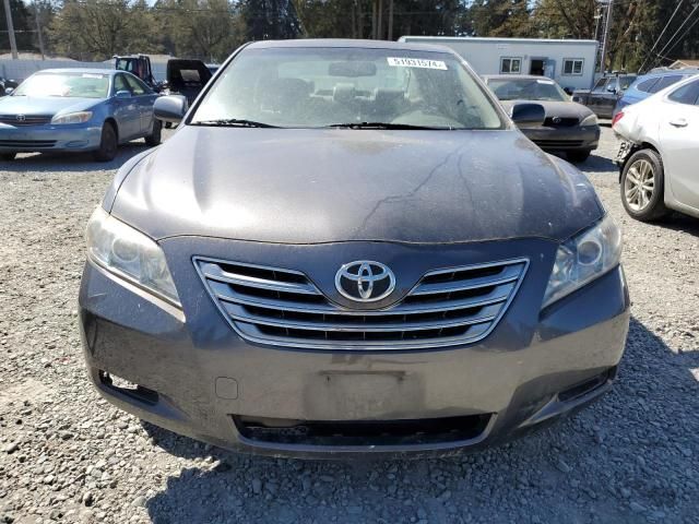 2009 Toyota Camry Hybrid