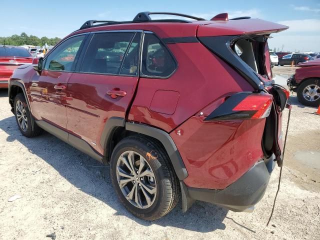 2024 Toyota Rav4 XLE Premium