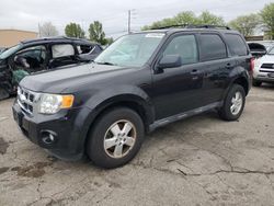 Salvage cars for sale from Copart Moraine, OH: 2011 Ford Escape XLT