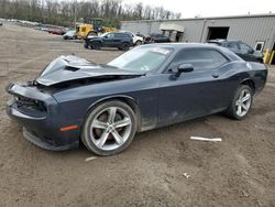 Dodge Challenger salvage cars for sale: 2017 Dodge Challenger R/T