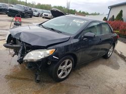 Salvage cars for sale at Louisville, KY auction: 2013 Toyota Corolla Base