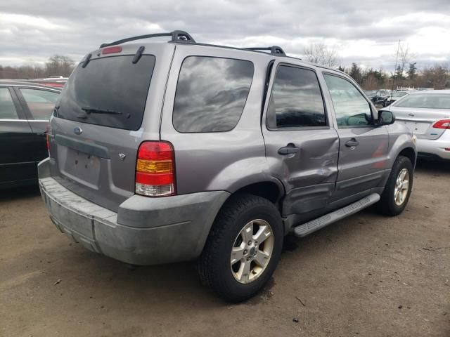 2007 Ford Escape XLT