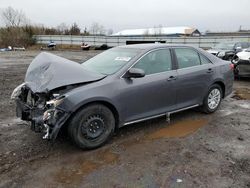 Toyota Camry l salvage cars for sale: 2013 Toyota Camry L