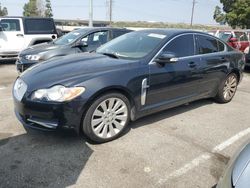 Salvage cars for sale from Copart Rancho Cucamonga, CA: 2009 Jaguar XF Premium Luxury