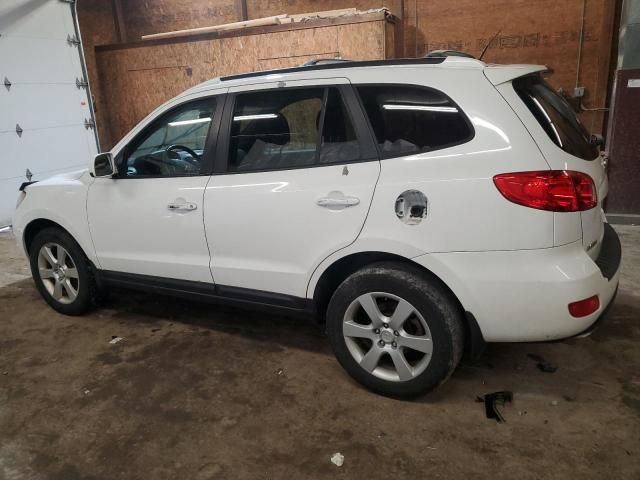 2009 Hyundai Santa FE SE