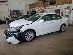 Salvage cars for sale at Ham Lake, MN auction: 2013 Honda Accord EXL