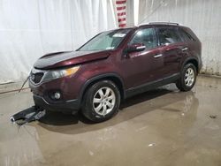 Salvage cars for sale from Copart Central Square, NY: 2011 KIA Sorento Base