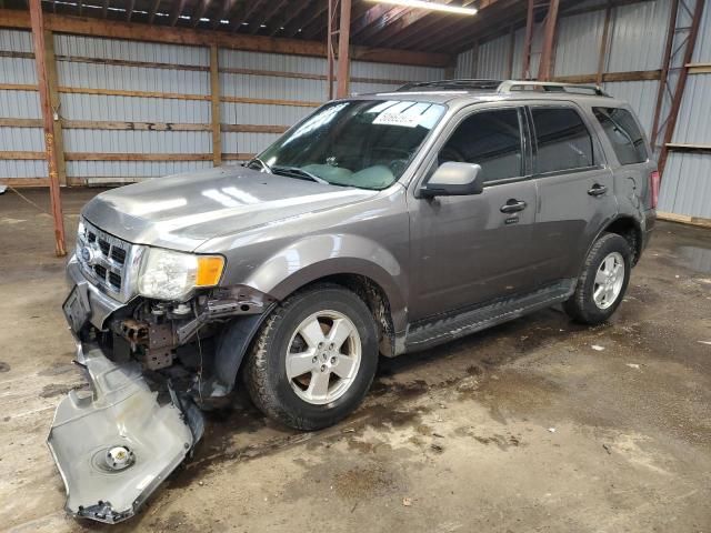 2011 Ford Escape XLT