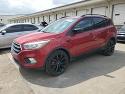 Salvage cars for sale at Louisville, KY auction: 2017 Ford Escape SE