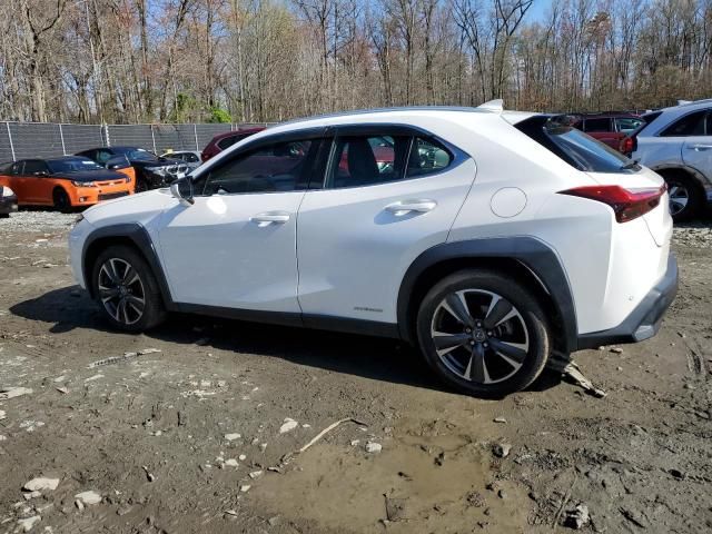 2020 Lexus UX 250H