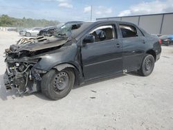Vehiculos salvage en venta de Copart Apopka, FL: 2010 Toyota Corolla Base