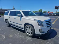 Salvage cars for sale from Copart Rogersville, MO: 2016 Cadillac Escalade ESV Luxury