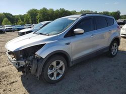 Ford Escape se Vehiculos salvage en venta: 2013 Ford Escape SE