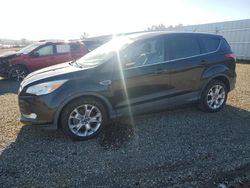 Salvage cars for sale from Copart Anderson, CA: 2013 Ford Escape SEL